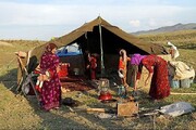 ۵۵۰ خانوار عشایری در منطقه ییلاقی لار شمیرانات مستقر شدند