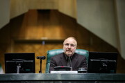 El presidente del Parlamento iraní: La resolución de la Junta de Gobernadores de la AIEA no beneficiará las conversaciones de Viena