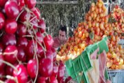 روزانه ۱۴۰ تُن میوه بهاره از بجنورد به سایر استان‌ها حمل می‌شود