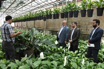 فرماندار پاکدشت: کشت گلخانه‌ای مهمترین راه برای گذر از بحران کم‌آبی است
