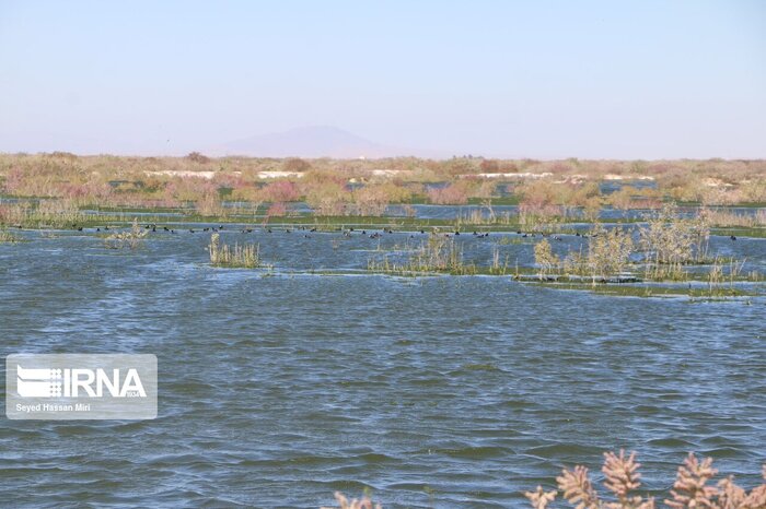 کویر ورامین، کانون بالقوه ریزگرد در جنوب شرق استان تهران