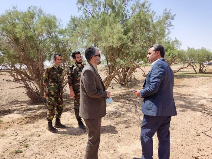 کویر ورامین، کانون بالقوه ریزگرد در جنوب شرق استان تهران