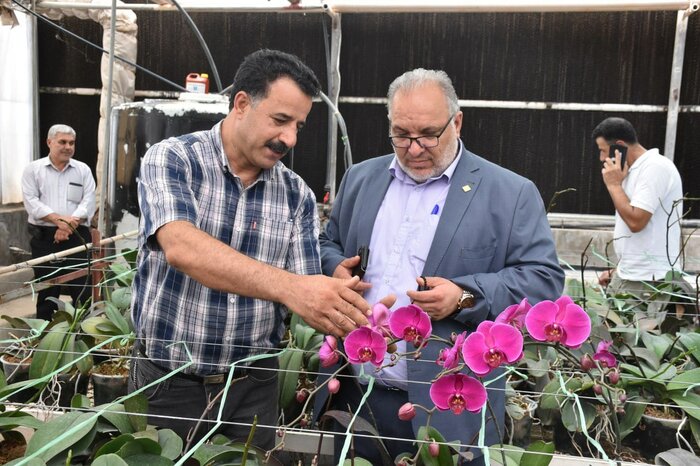 فرماندار پاکدشت: کشت گلخانهای مهمترین راه برای گذر از بحران کمآبی است