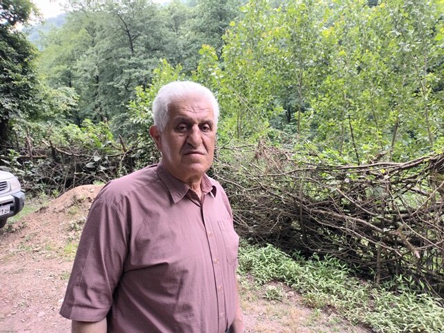 کلاف سردرگم تلفات زنبورهای عسل در رضوانشهر