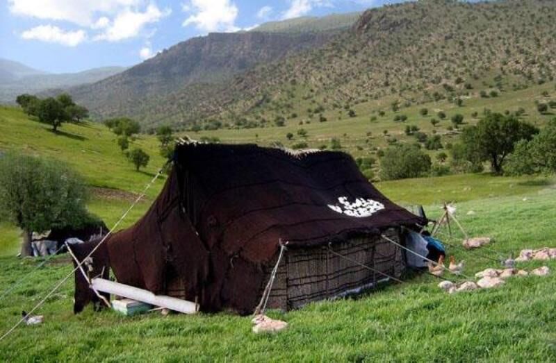 سالانه ۳۰ هزار تن مواد پروتئینی توسط عشایر خراسان رضوی تولید می‌شود