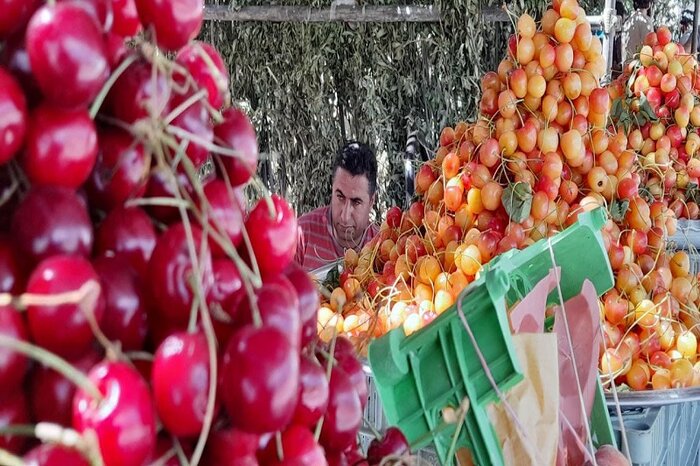 اشنویه پایتخت گیلاس،گوشهای از بهشت آذربایجانغربی