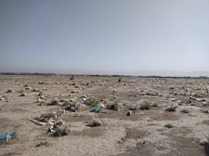 همت والای دوستداران محیط زیست در پاکسازی راشته کرج از پلاستیک