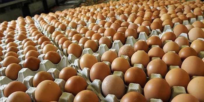 ارزآوری ۱۱۰ میلیون دلاری صادرات تخم‌مرغ/ افزایش ۱۳۰ هزار تنی تولید