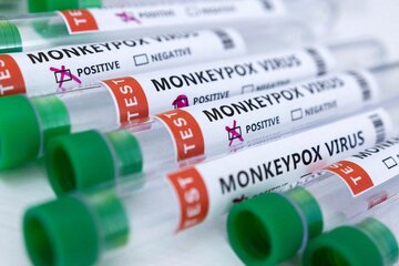 اتحادیه اروپا ۱۱۰ هزار دز واکسن آبله میمون خریداری می‌کند