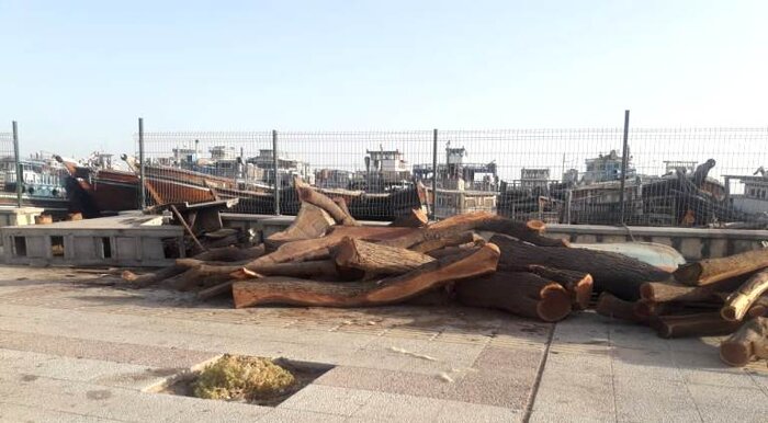 خور گناوه کانون آلودگی زیست محیطی