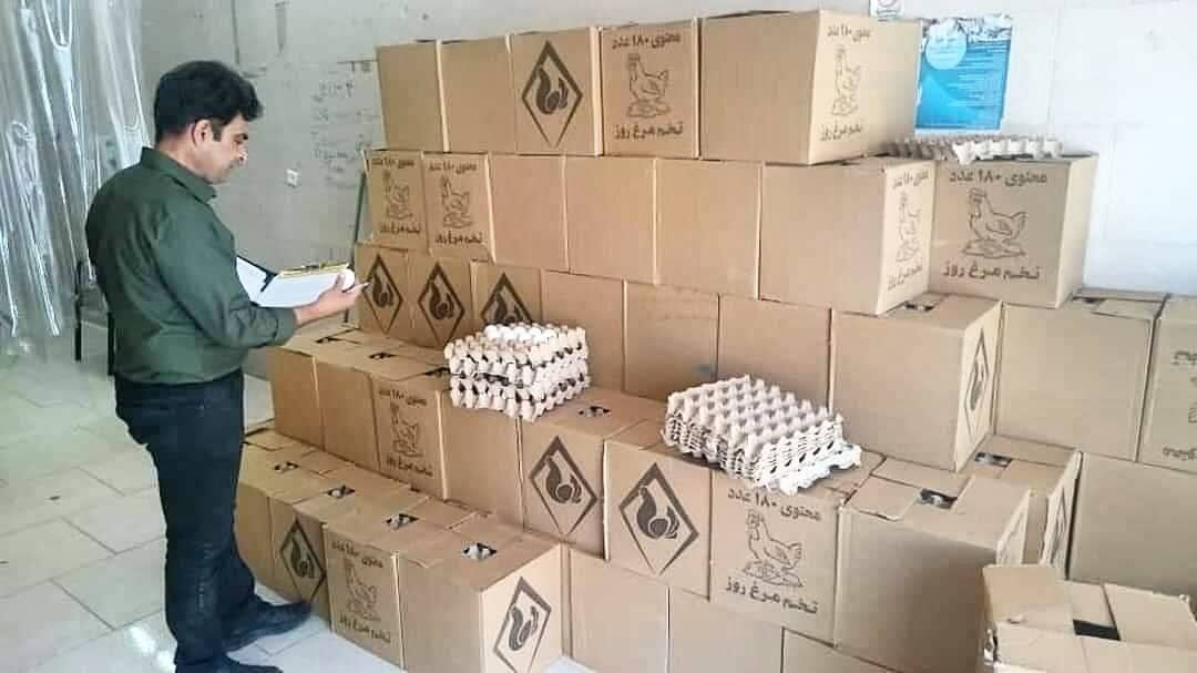 ۲ تُن تخم مرغ فاقد مجوز در بوکان ضبط شد ۲ تُن تخم مرغ فاقد مجوز در بوکان ضبط شد