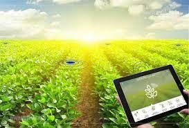 تدوین دستورالعمل ایجاد بازار محصولات دانش‌بنیان در بخش کشاورزی