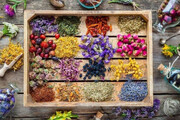 Iran ranks 4th in the world in knowledge production of medicinal plants