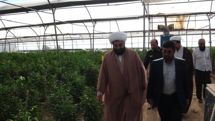 قصرشیرین مستعدترین منطقه استان کرمانشاه برای تولید محصولات گلخانهای است