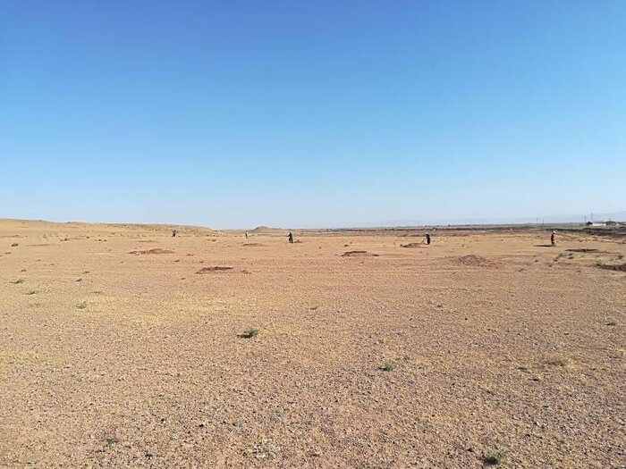 جلوگیری از گسترش بیابان‌ در قم با کاشت گیاهان مقاوم دنبال می‌شود