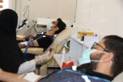 اعضای دفتر نمایندگی سازمان جهانی بهداشت در ایران به جمع اهداکنندگان خون پیوستند