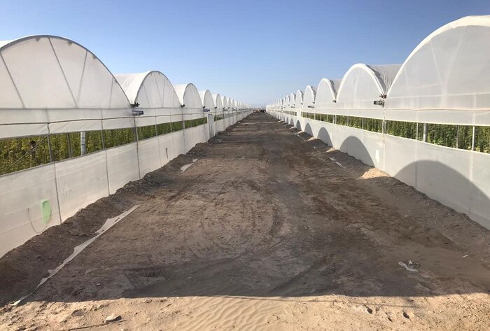 اقدام عملی برای احیای دشت قزوین در دولت سیزدهم