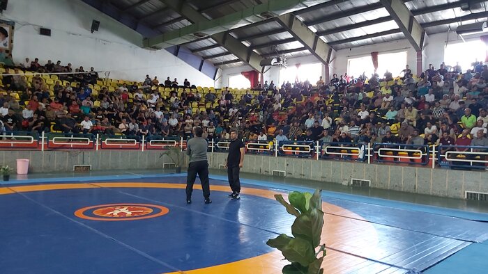 علیرضا دبیر: کشتی ما را پایین بودن سطح دانش مربیان تهدید میکند