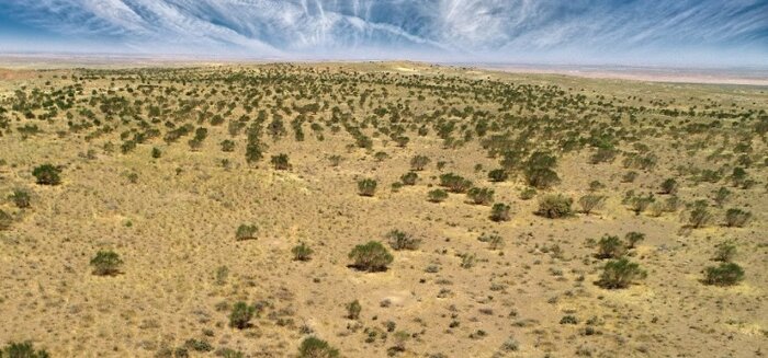 گسترش بیابان ها و چهار دهه مقابله البرز با این پدیده