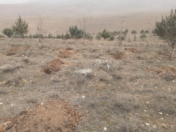 گسترش بیابان ها و چهار دهه مقابله البرز با این پدیده