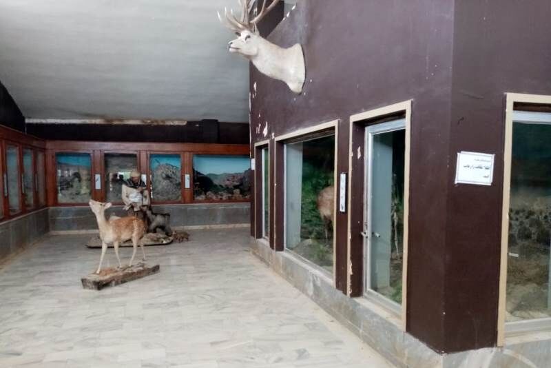 قدیمی ترین پاسگاه محیط بانی و نخستین موزه تاریخ طبیعی کشور در گلستان احیا میشوند قدیمی ترین پاسگاه محیط بانی و نخستین موزه تاریخ طبیعی کشور در گلستان احیا میشوند