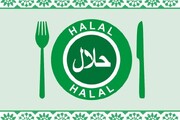 ایران خطی ممالک کو حلال مصنوعات کی فراہمی کیلئے کروشیا سے تعاون پر تیار ہے