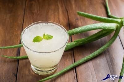 آلوئه ورا؛ شربتی پرخاصیت برای روزهای گرم سال