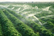 ۱۰۵ پروژه کشاورزی در آذربایجان غربی آماده بهره‌برداری شد