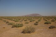 معاون صمت فارس: مشکل زمین طرح آهن اسفنجی در نزدیکی دریاچه بختگان رفع شد