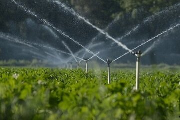 ۲۰ هزار هکتار از زمین های کشاورزی شهرستان همدان به آبیاری تحت فشار مجهز است