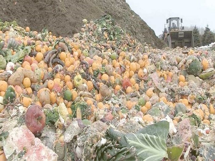 ضرورت تضمین غذای فردا با علم و فناوری/ ۷۵ درصد کشاورزی خراسان رضوی همچنان سنتی است