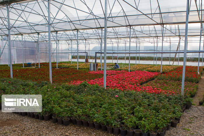 اختصاص ۳ هزار میلیارد تومان/ اعتباری که کشاورزی خراسانشمالی را متحول میکند