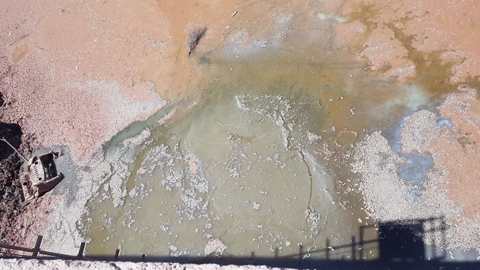 مرگ هزاران ماهی در سد حلبیساز بردسیر/دادستانی: فوری پیگیری میشود