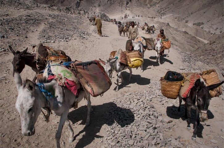 صفهای طویل پمپ های بنزین سیستان و بلوچستان پشت سد قاچاق سوخت