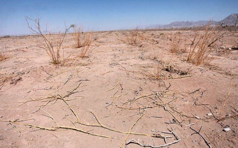 ۲۰۰ هکتار نهال کاری در مناطق بیابانی بویین زهرا انجام میشود ۲۰۰ هکتار نهال کاری در مناطق بیابانی بویین زهرا انجام میشود