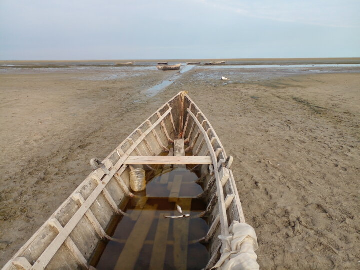 خشکی خلیج گرگان تهدید جدی برای بازماندگان عصر ژوراسیک