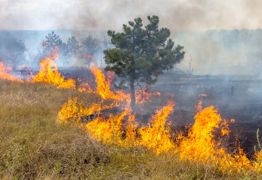روایتی از یک خبرI جنگ اوکراین و خطر بازگشت اروپا به انرژی کثیف