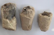 سفال‌های نوک اژدری در سیراف بوشهر کشف شد 