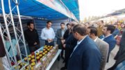 افتتاح نمایشگاه سوغات و صنایع دستی در ایلام