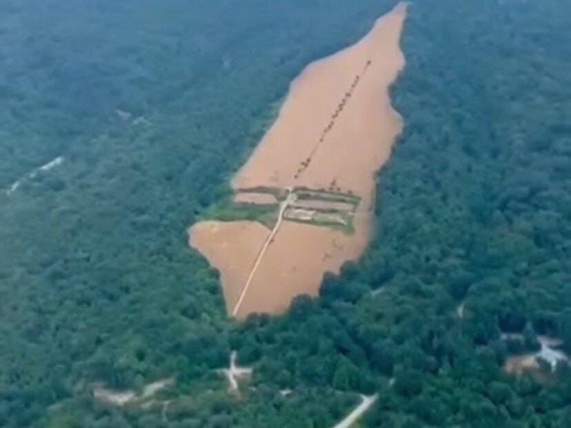 ماجرای جنگلخواری در گلوگاه چیست؟  ماجرای جنگلخواری در گلوگاه چیست؟