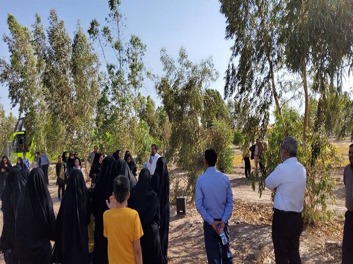 تحقیقات دانشگاه ولیعصر(عج) رفسنجان بر روی ۶۰ هزار نهال پسته