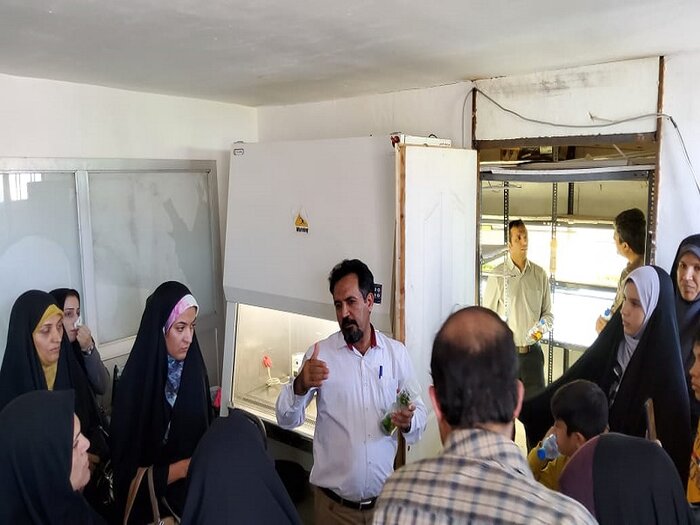 تحقیقات دانشگاه ولیعصر(عج) رفسنجان بر روی ۶۰ هزار نهال پسته