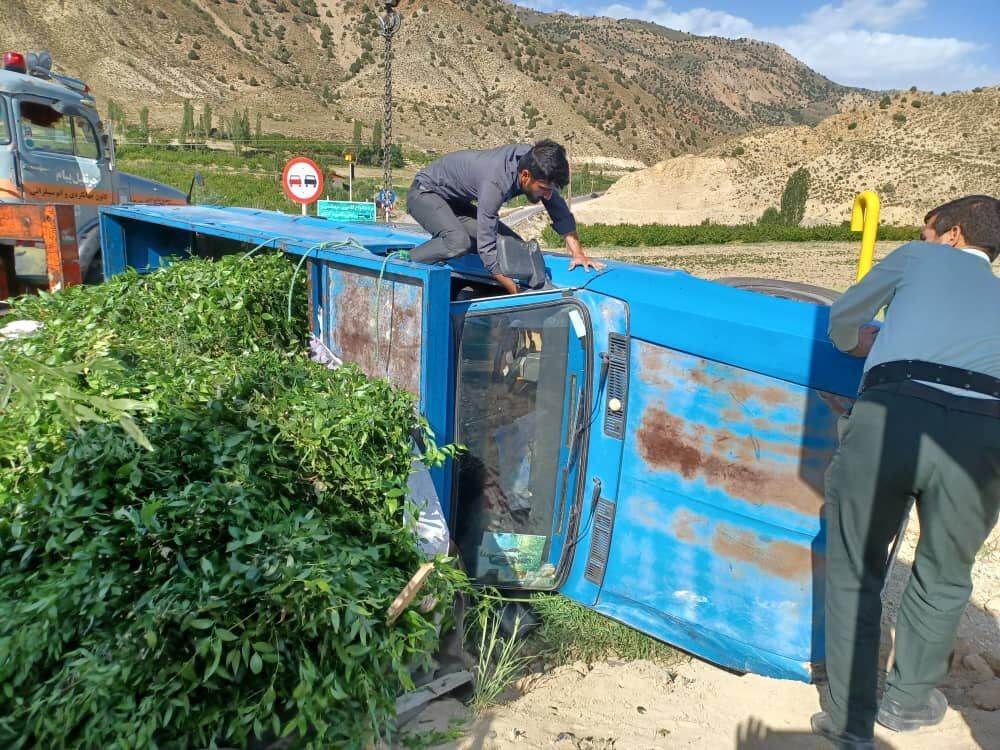 خودروی حامل گیاه «چلم» قاچاق در شاهرود توقیف شد