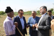 مشاور وزیر جهاد: بیشترین درخواست کشاورزان خراسان شمالی تسهیلات بانکی است 
