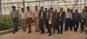 یک واحد گلخانه سبزی و صیفی در اقلید افتتاح شد