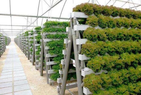 کِشت فرا سرزمینی، نسخه آسیایی برای امنیت غذایی