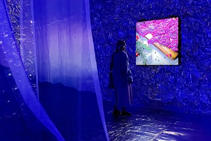 گالریگردی در آغاز تابستان؛ میزبانی از «دیوانه» و «بیتا»