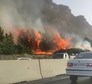   حضور نیافتن آتش‌نشانی  در آتش‌سوزی درختان کوه صفه اصفهان خلاف واقع است