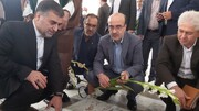 استاندار مازندران سفرش به چالوس را با ادای احترام به مقام شامخ شهدا آغاز کرد