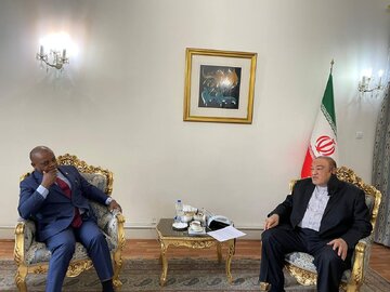 صفری: تهران برای تحقق اهداف مشترک کشورهای عضو دی هشت آمادگی دارد